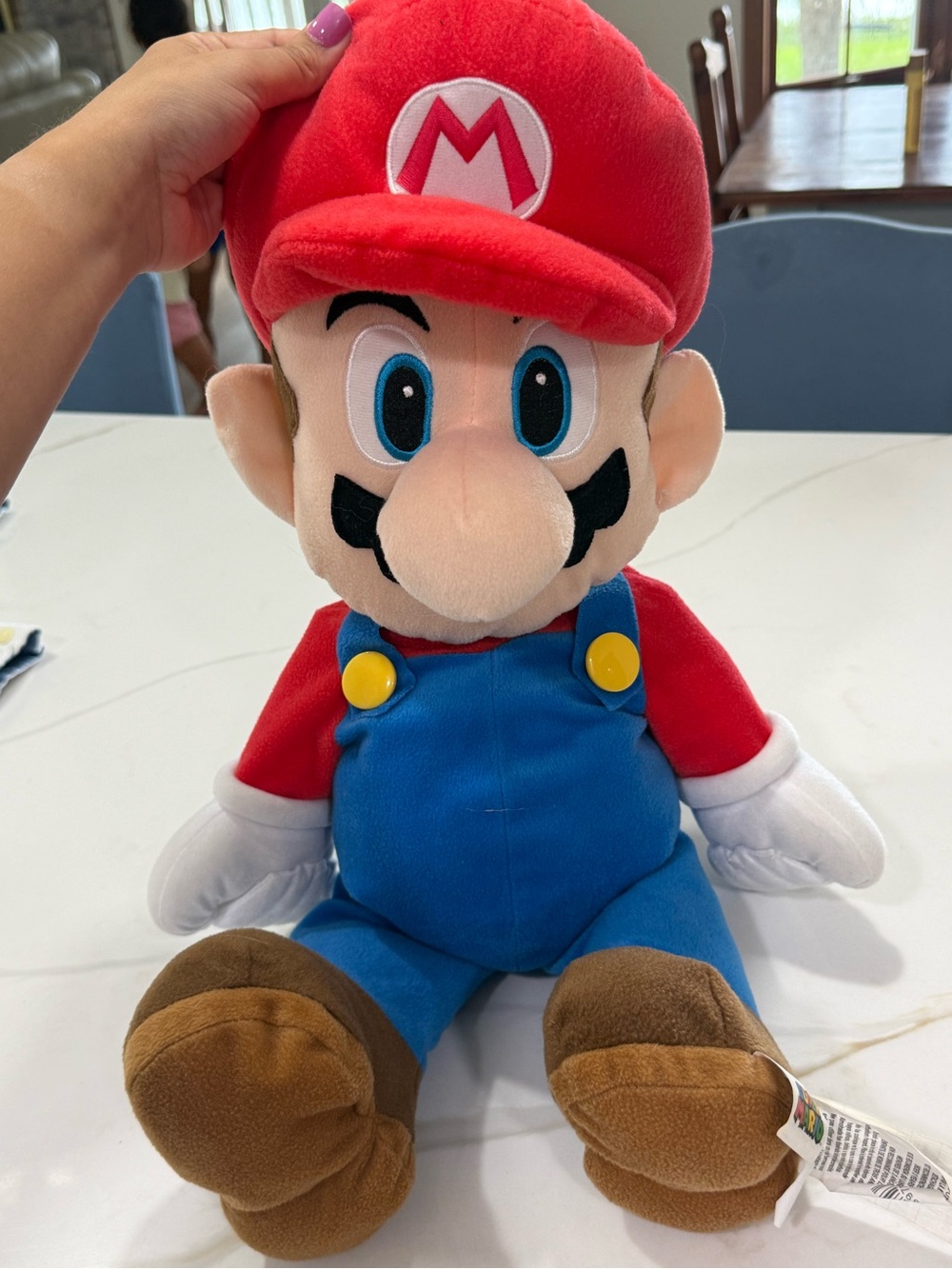 Nintendo Mario Plush - Red, Blue & Brown Stuffed Character